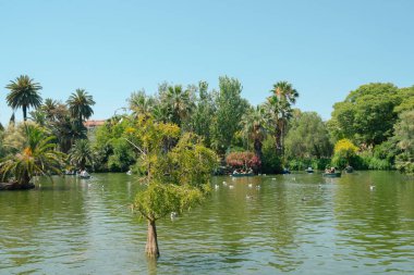 İspanya, Barcelona 'da Ciutadella Park Gölü tekne manzarası