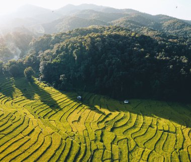 Hasattan önce kırsal alanda doğal pirinç tarlaları. Altın akşam ışığı.
