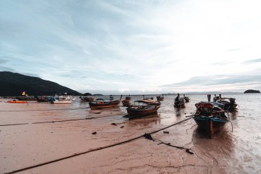 Uzun kuyruklu tekne sabah adaya demir attı.