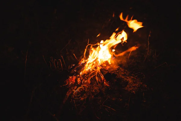 Namioty Kempingowe Ogniska Nocy — Zdjęcie stockowe