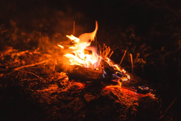 Zelte Und Lagerfeuer Der Nacht — Stockfoto