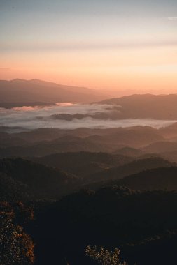 Manzara dağları ve çam ağaçları sabah
