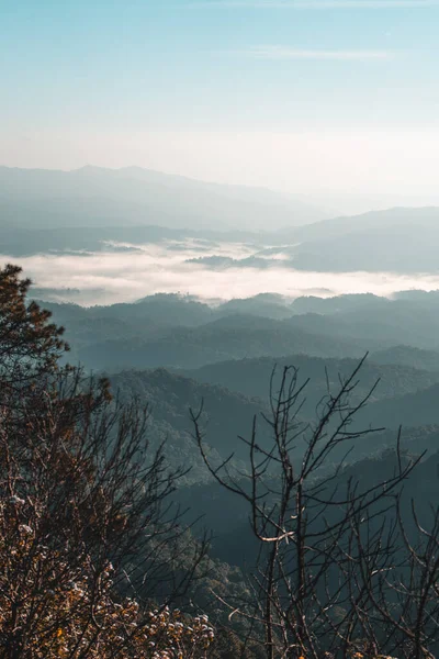 Manzara Dağları Çam Ağaçları Sabah — Stok fotoğraf