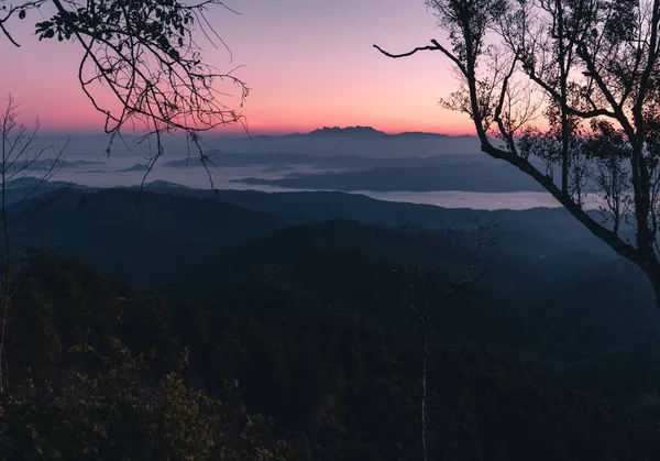 在日出前的清晨 山上的紫光 — 图库照片