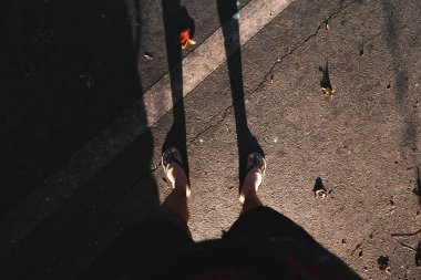 Yaz yolları ve ağaçlar yazın dökülür. 