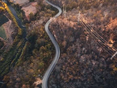 Akşamları yol ve ağaçlar yukarıdan