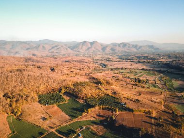 Akşamları yol ve ağaçlar yukarıdan