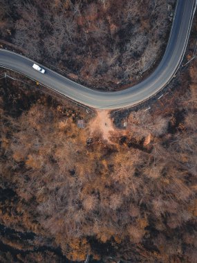 Akşamları yol ve ağaçlar yukarıdan