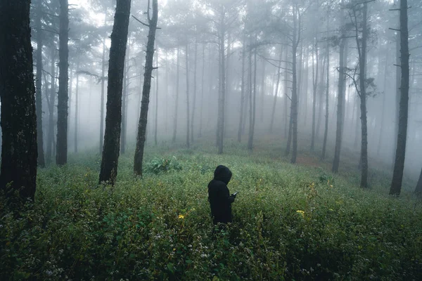 Человек Темном Лесу Туман Сосновый Лес Зимой Тропический Лес Туман — стоковое фото