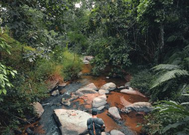 Tropikal bir doğal ormanda bir dere ve kayalar, yürüyüş... 