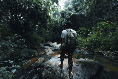 Şenlik ateşi, tropikal yağmur ormanlarındaki bir şelalenin yanında.,