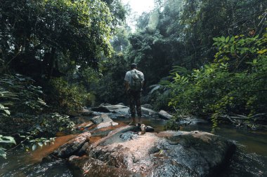 Şenlik ateşi, tropikal yağmur ormanlarındaki bir şelalenin yanında.,