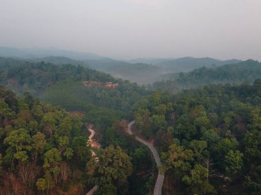 Orman, ağaçlar ve yeşil yollar Akşam kırsalının yukarısından.