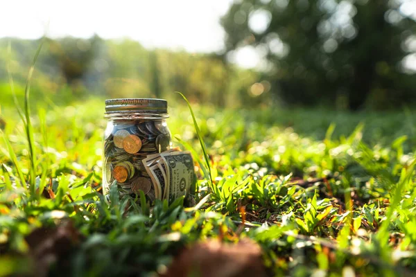 Money stored in glass bottles on the grass