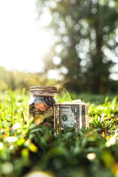 Money stored in glass bottles on the grass