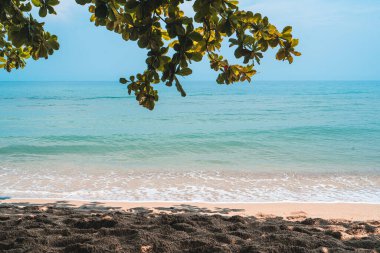 Gün boyunca kumsal ve deniz plajda dinlenir.