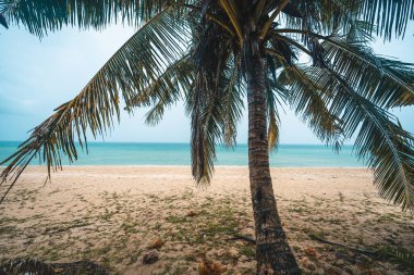 Yağmurlu bir günde adanın kumsalında deniz dalgaları