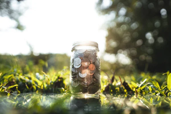 Money stored in glass bottles placed on green grass