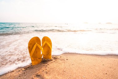 Sarı Flip yaz akşamında plajda terliyor.