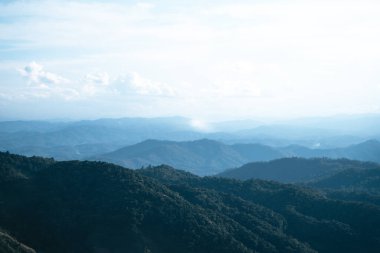 Yazın dağ ve ağaç Doğa Trave
