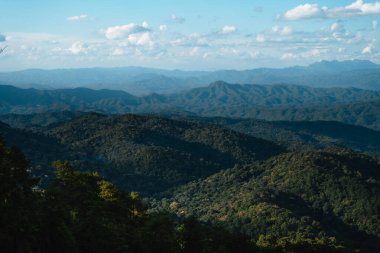 Yazın dağ ve ağaç Doğa Trave