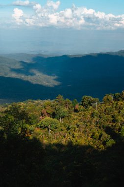 Yazın dağ ve ağaç Doğa Trave