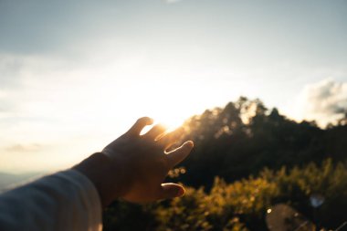 Yazın dağ ve ağaç Doğa Trave