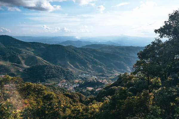 Montaña Árbol Verano Nature Trave — Foto de Stock