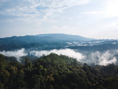 Yazın dağ ve ağaç Doğa Trave