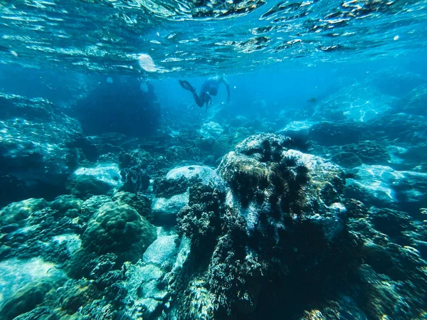 Travel Diving Sea Clear Blue Sea — Stock Photo, Image