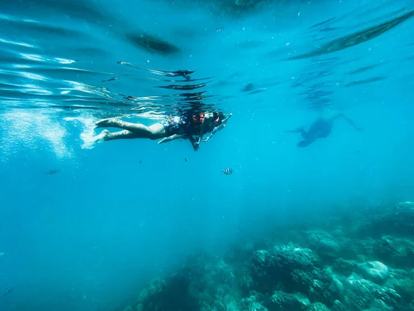 Viajar Mar Buceo Mar Azul Claro — Foto de Stock