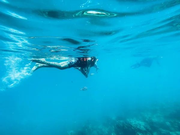 ダイビングの海での旅行 クリアブルーの海 — ストック写真