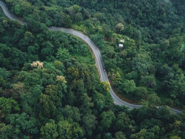 Green road up the mountain in the rainy season The road in the forest
