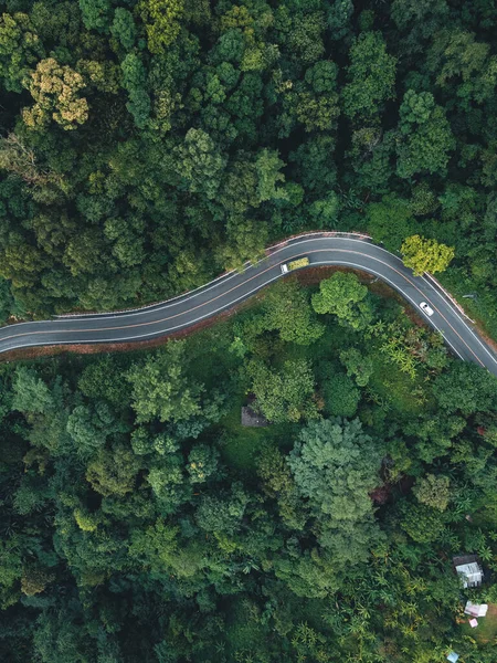 Zelená Cesta Horu Období Dešťů Silnice Lese — Stock fotografie