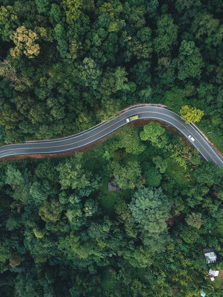 Green Road Mountain Rainy Season Road Forest — Stok fotoğraf