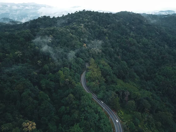 在雨季上山的绿路在森林中的路 — 图库照片
