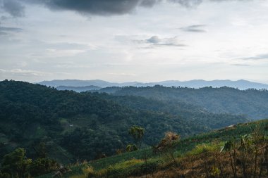 Asya ve tarım alanlarındaki dağlarda bir köy.