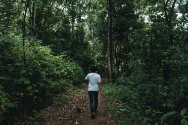 Yağmur mevsiminde ormanda yürümek