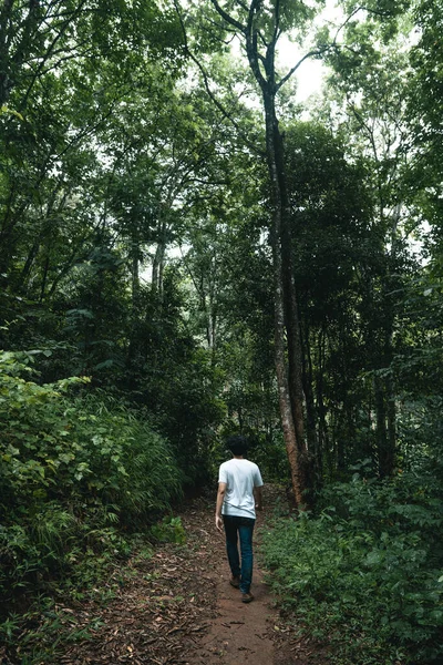 Caminando Bosque Temporada Lluvias — Foto de Stock