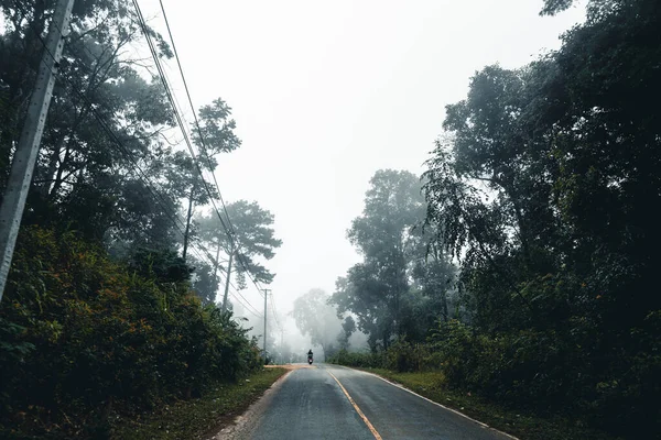 Δρόμος Στο Δάσος Βροχερές Εποχές Φύση Δέντρα Και Ομίχλη Ταξίδια — Φωτογραφία Αρχείου