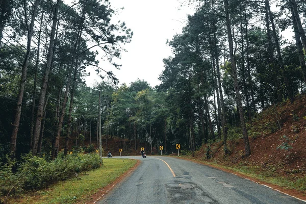 Дорога Лісовому Дощовому Сезоні Природа Дерева Туман Подорожі — стокове фото