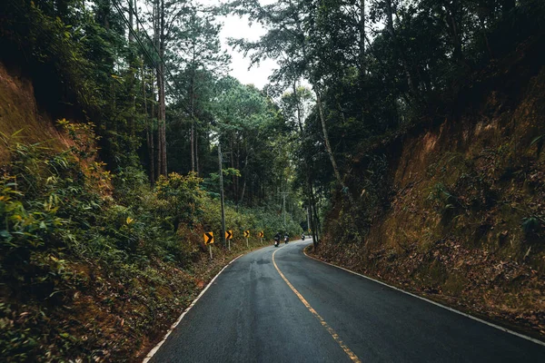 森林中的道路雨季自然树木和雾的旅行 — 图库照片