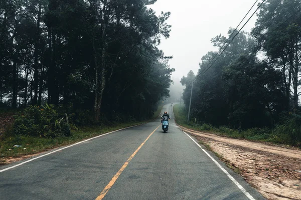 森林中的道路雨季自然树木和雾的旅行 — 图库照片