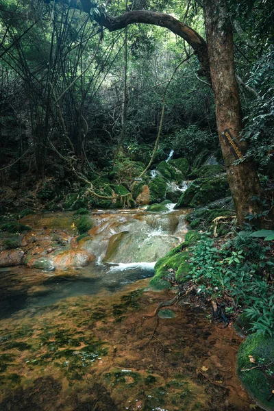 Natürlicher Wasserfall Und Moos Tropischer Natur — Stockfoto