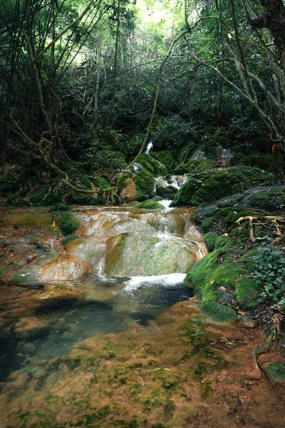 Cachoeira Natural Musgo Natureza Tropical — Fotografia de Stock