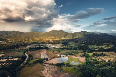 Yağmur mevsiminde pirinç tarlaları ve dağlar