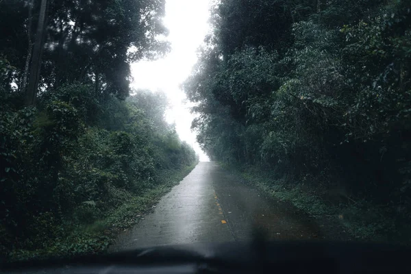 Camino Hacia Bosque Húmedo Tropical — Foto de Stock