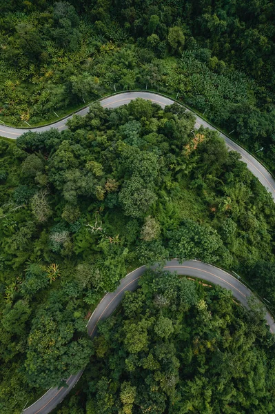 Dağ Yolu Yeşil Ağaçlar Yukarıdan Pai Tayland — Stok fotoğraf