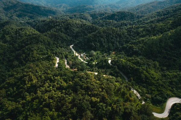 Mountain Road Green Trees Pai Thailand — Stock Photo, Image