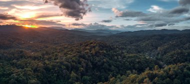 Akşamları dağlar ve yeşil orman, kuş bakışı manzara.
